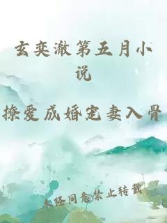 玄奕澈第五月小说