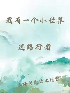 我有一个小世界