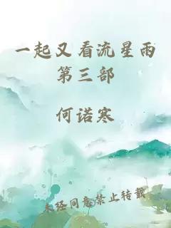 一起又看流星雨第三部