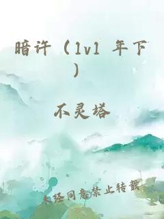 暗许（1v1 年下）