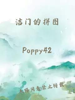 洁门的拼图