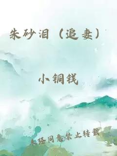 朱砂泪（追妻）