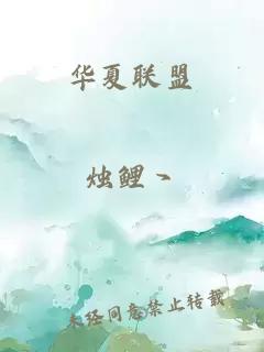 华夏联盟