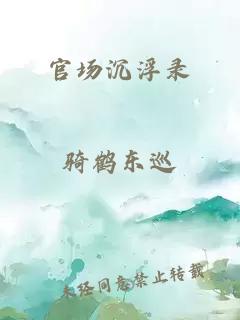 官场沉浮录