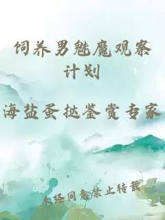饲养男魅魔观察计划