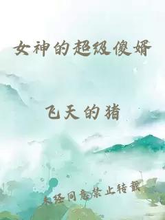 女神的超级傻婿