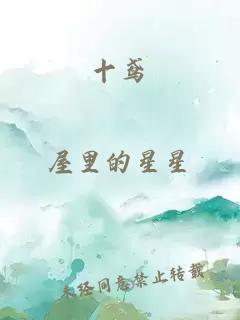 十鸢