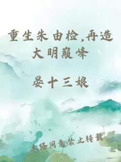 重生朱由检,再造大明巅峰