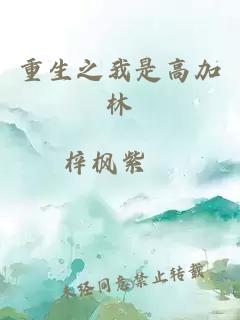 重生之我是高加林
