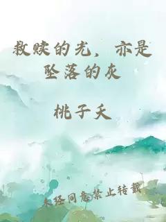 救赎的光，亦是坠落的灰