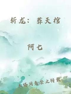 斩龙：葬天棺