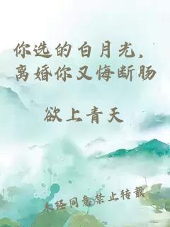 你选的白月光，离婚你又悔断肠