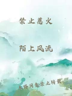 禁止惹火