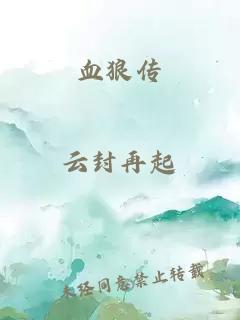 血狼传