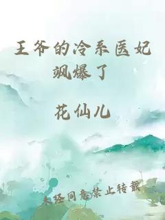 王爷的冷系医妃飒爆了