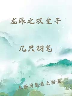 龙珠之双生子