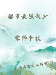 都市最强武少