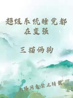 超级系统睡觉都在变强
