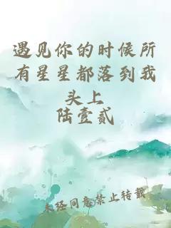遇见你的时候所有星星都落到我头上