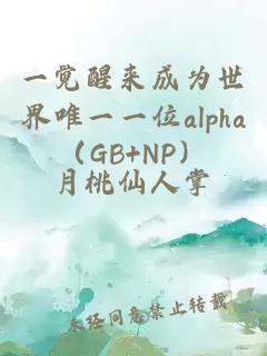 一觉醒来成为世界唯一一位alpha（GB+NP）