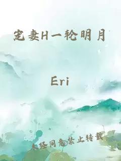 宠妻H一轮明月